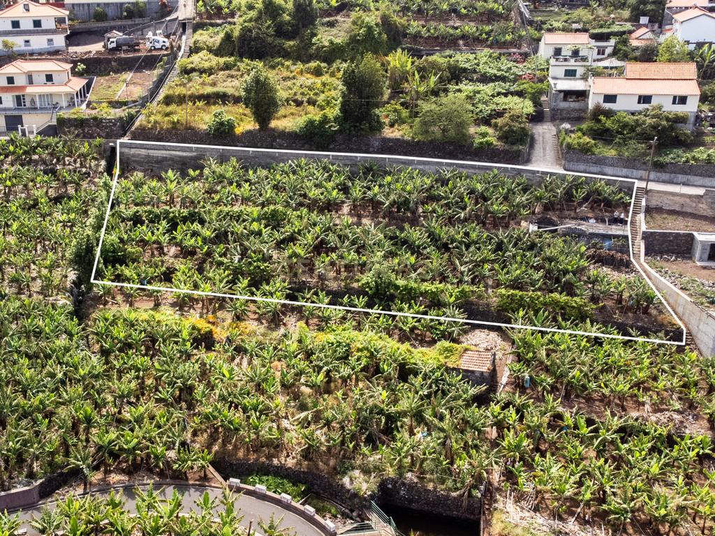 Terreno para construção 1946m2 - Arco da Calheta - Image 11