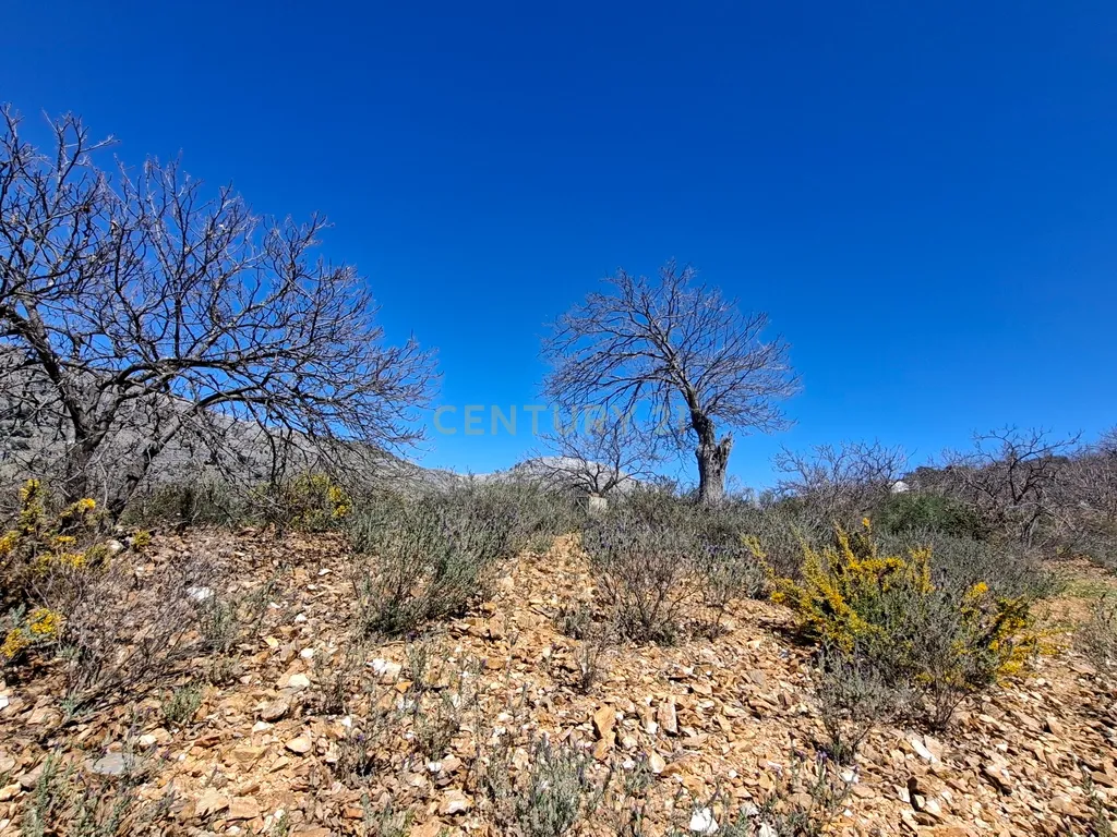 Moradia geminada de gaveto, com orientação sul, vistas para a montanha e duas propriedades rústicas com oliveiras, vinhas e castanheiros, no coração do Alto Genal. - Image 34