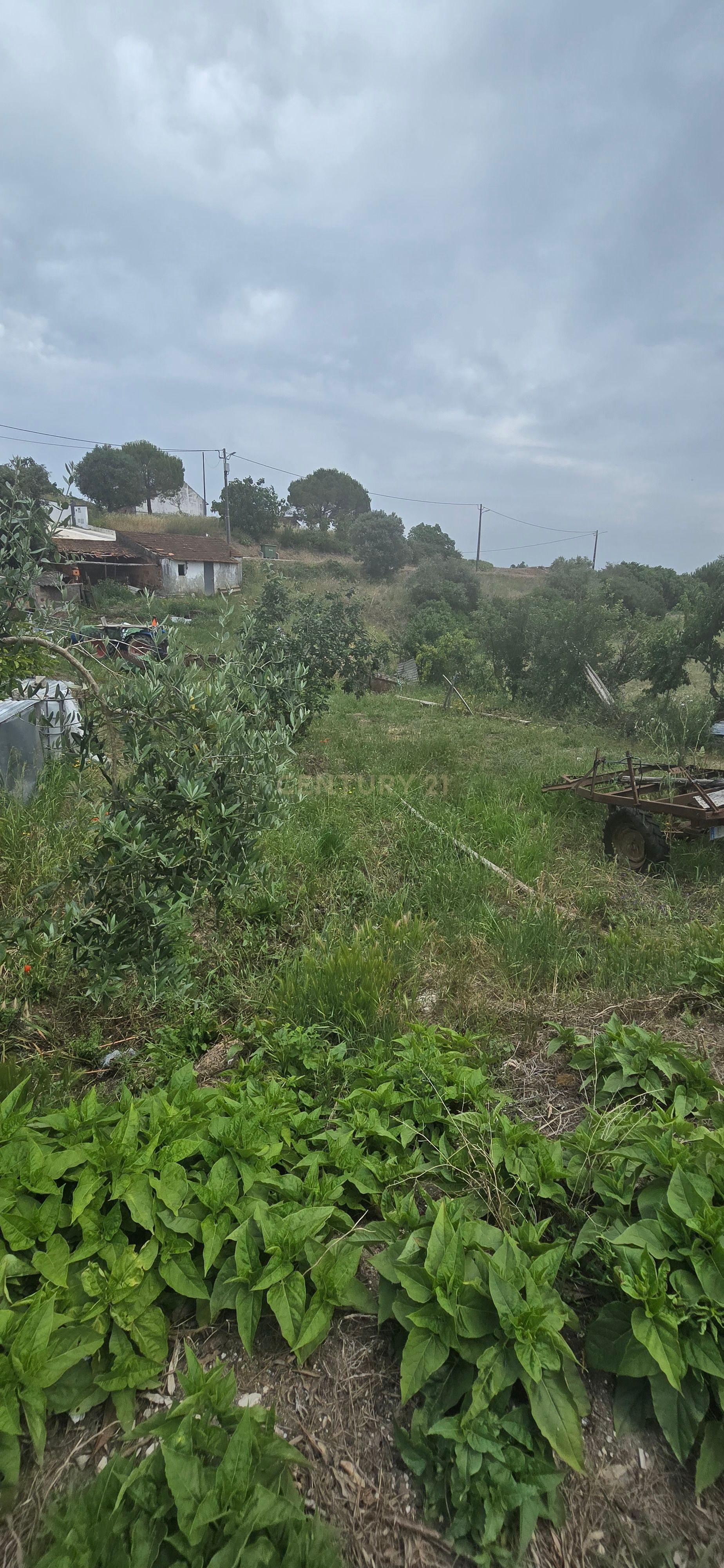 Fotografia 7 de Terreno Urbano com 540 mt2