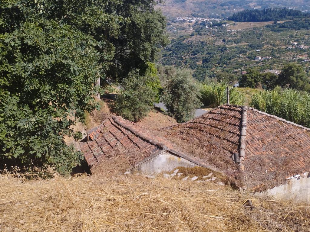 Moradia em ruina repleta de belas histórias, para reconstruir, no coração do Douro em Frende, Baião - Image 27