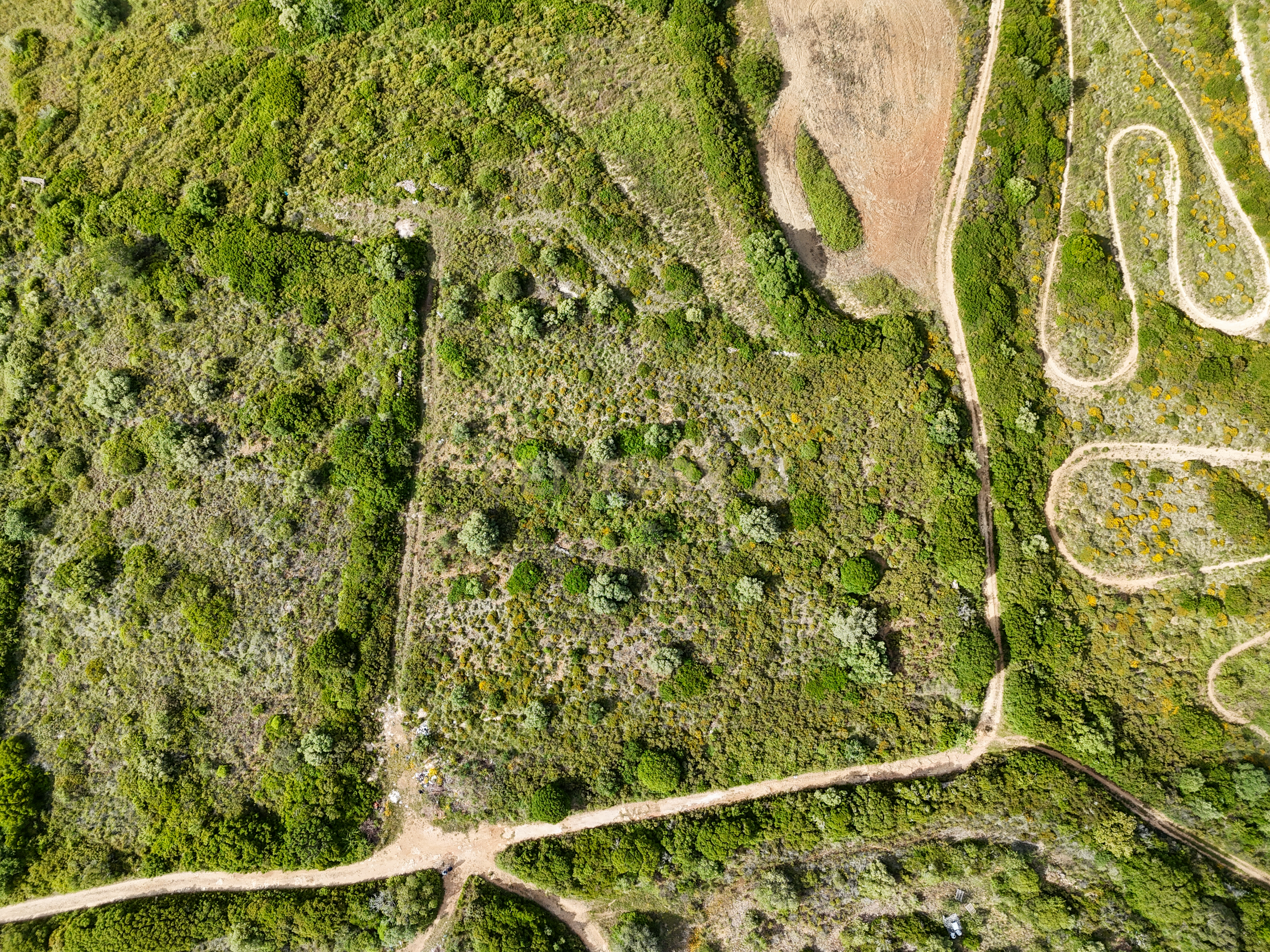 Fotografia 7 de Terreno Urbanizável com 5.062m² na Quinta das Pevides