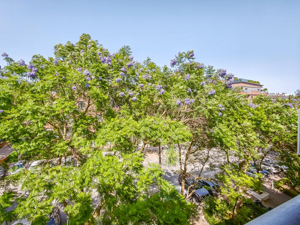 Apartamento T2 nos Olivais Sul - Image 18