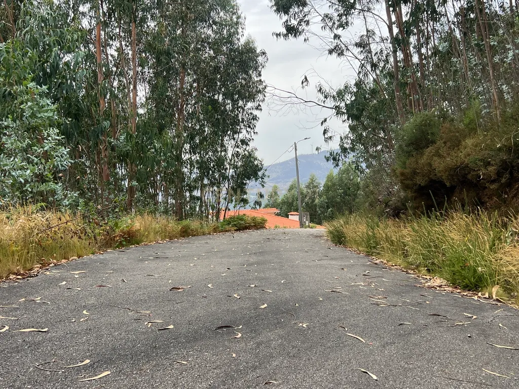 Terreno para Construção com Projeto Turístico e Vista Rio Douro – Castelo de Paiva - Image 20