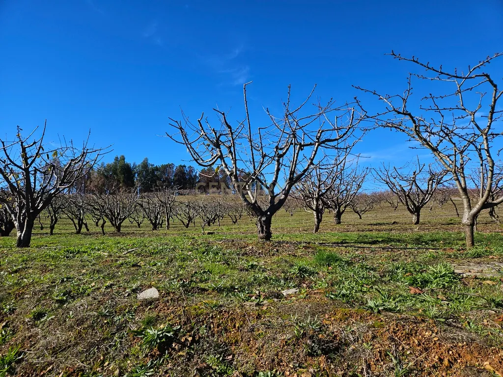 Quinta de Excelência Agrícola na Região Premium do Fundão: 32 ha de Alta Produtividade - Image 6
