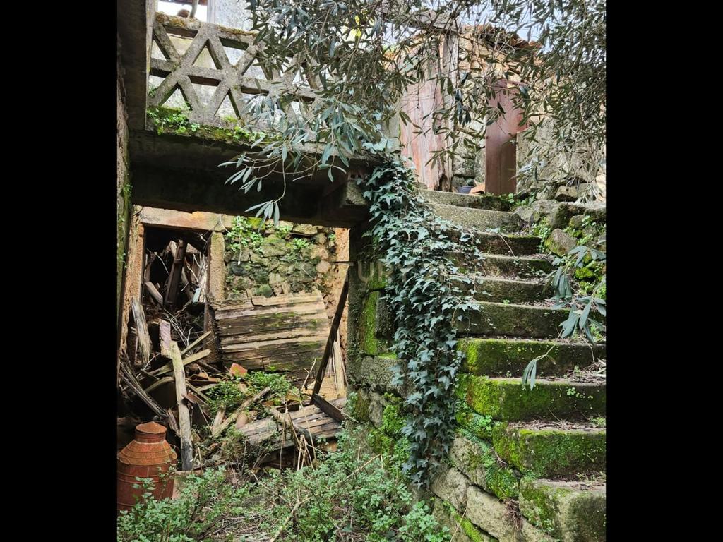 Moradias em pedra | Imóvel de Interesse Municipal | Excelente Potencial de Investimento - Image 7