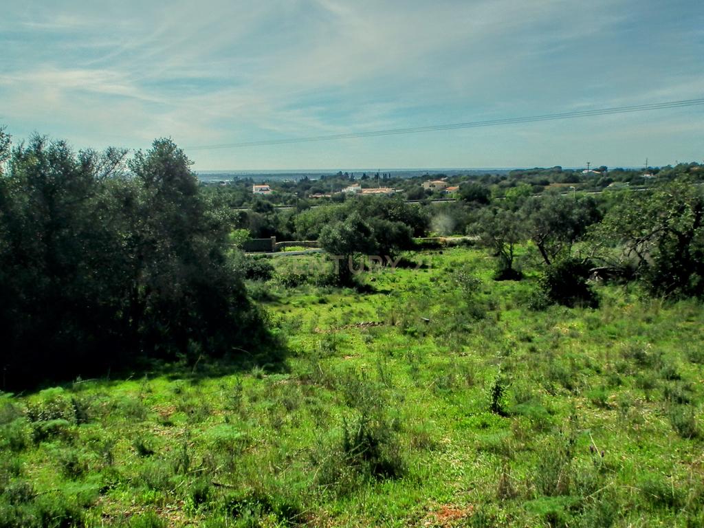 Terreno Rústico em Faro com Vista Panorâmica e Acesso Fácil - Image 20