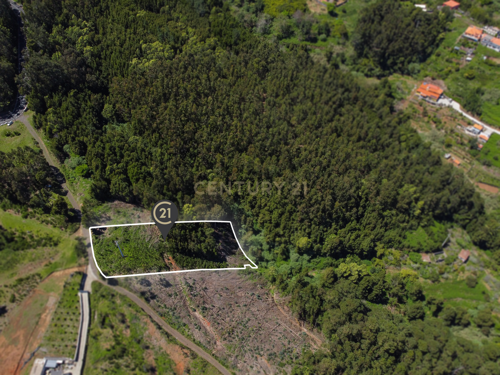 Terreno com Vista Mar e Viabilidade de Construção para Habitação Própria em Gaula - Image 11