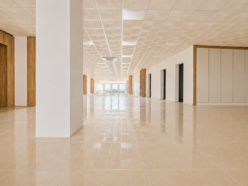 Espaço Comercial de Grande Dimensão no Centro Histórico de Beja - Image 6