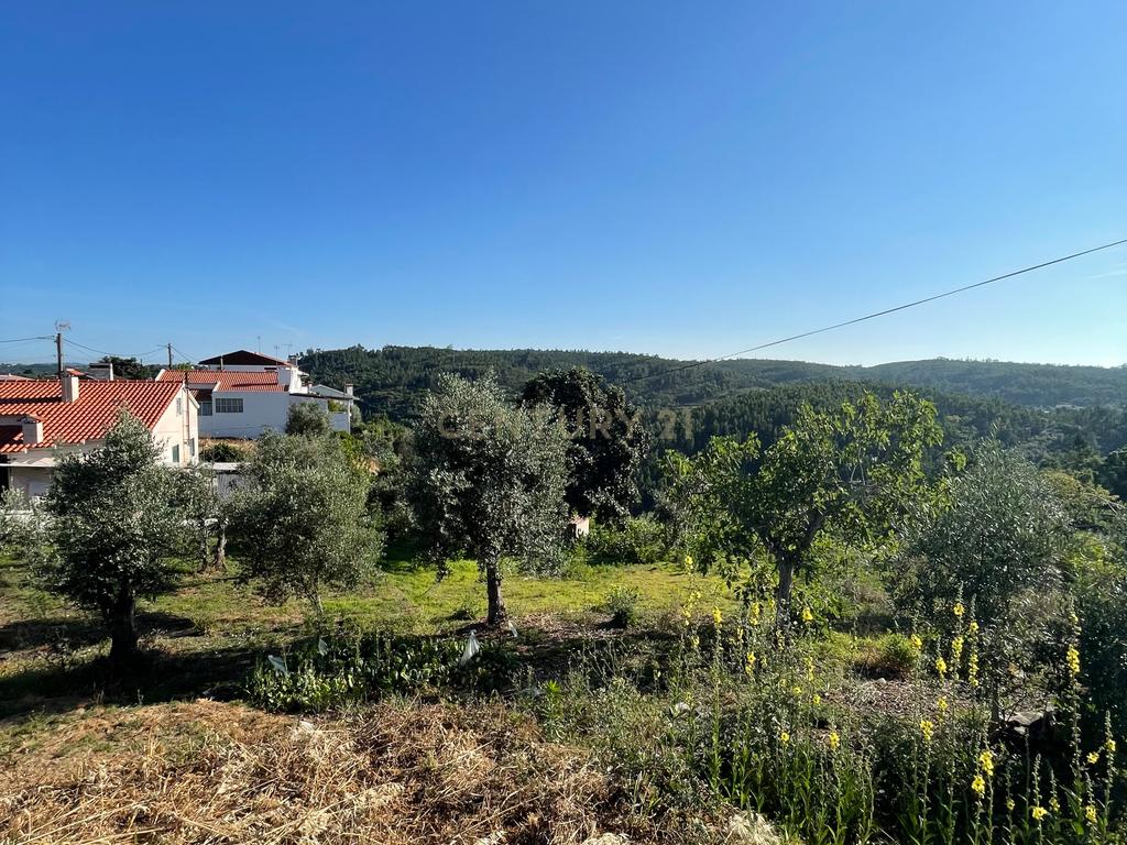 Terreno em Carreira Mato, Aldeia do mato - Image 6