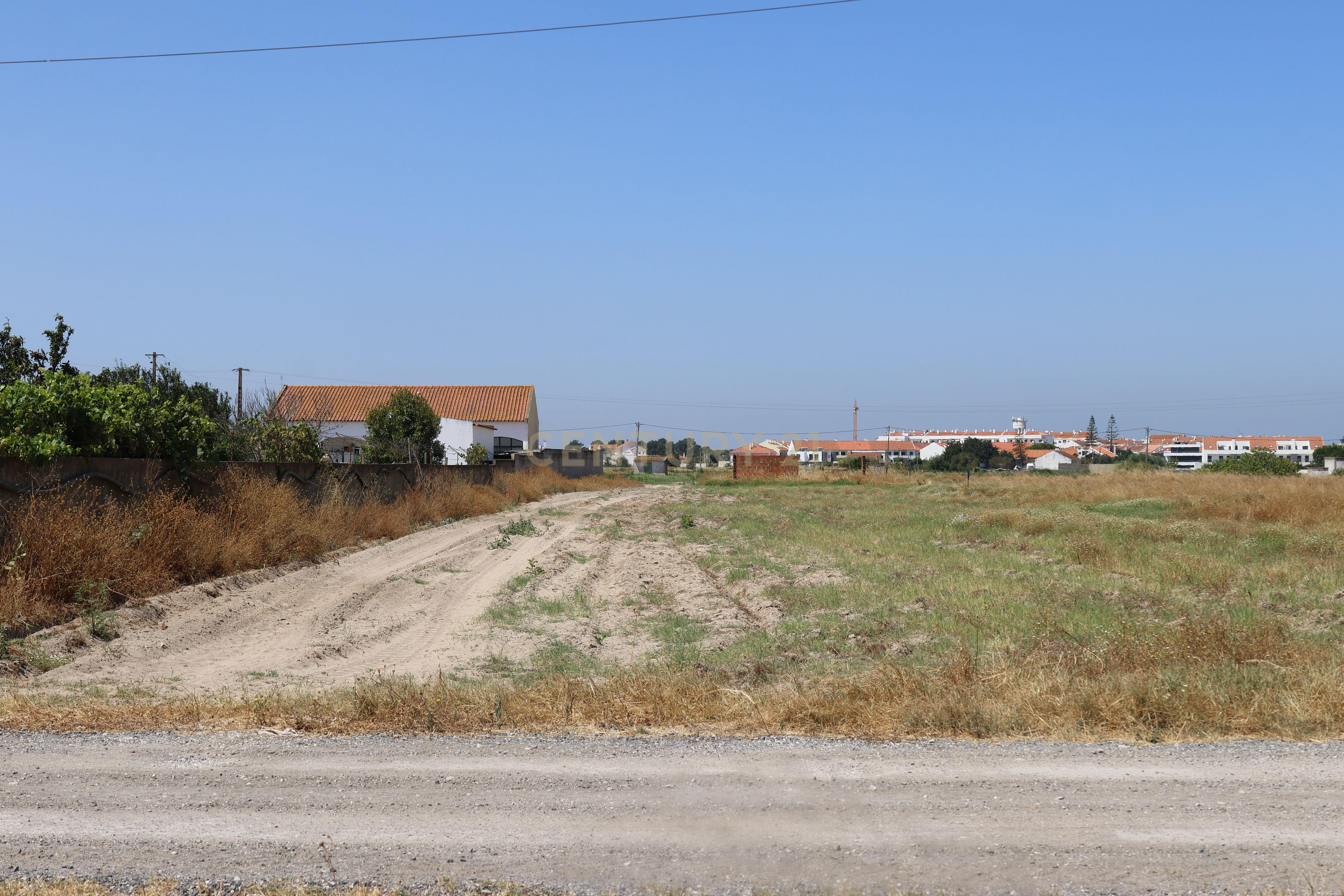 Fotografia 5 de Terreno 1.6 Ha Samouco - Alcochete