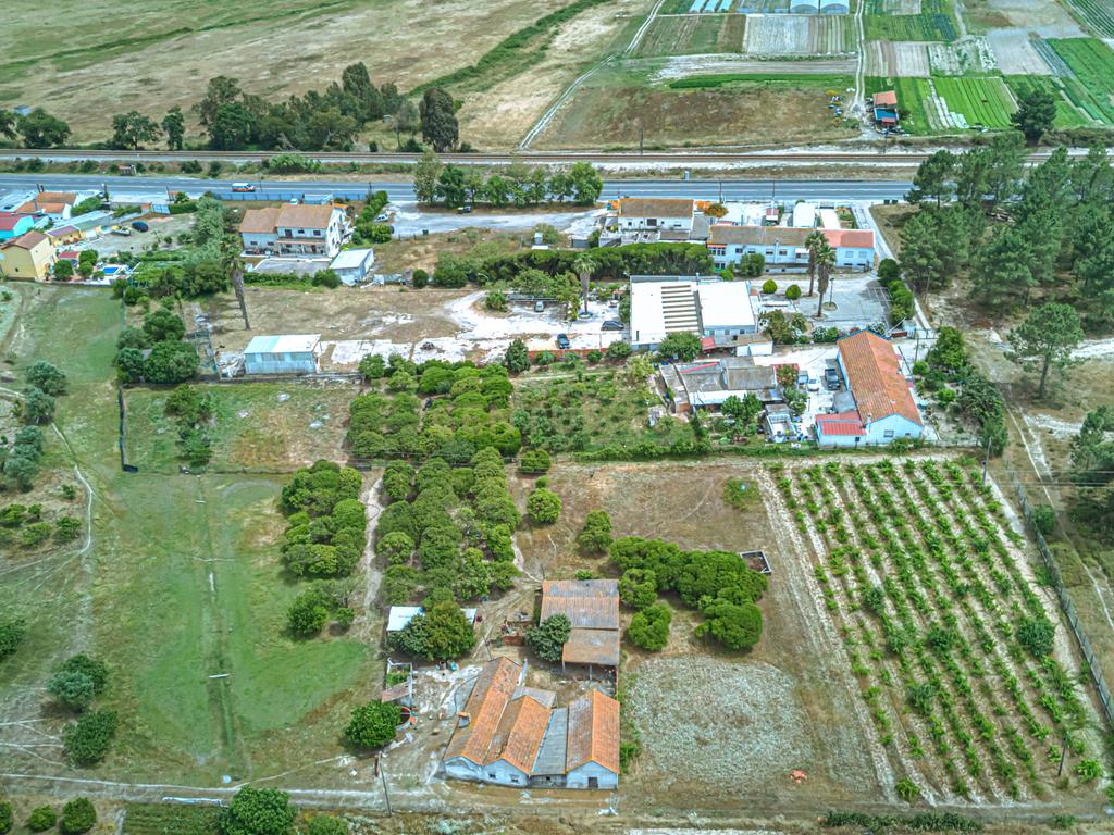 Encantadora Quinta em Palmela com 5200m2 e 196m2 privativos - Image 6