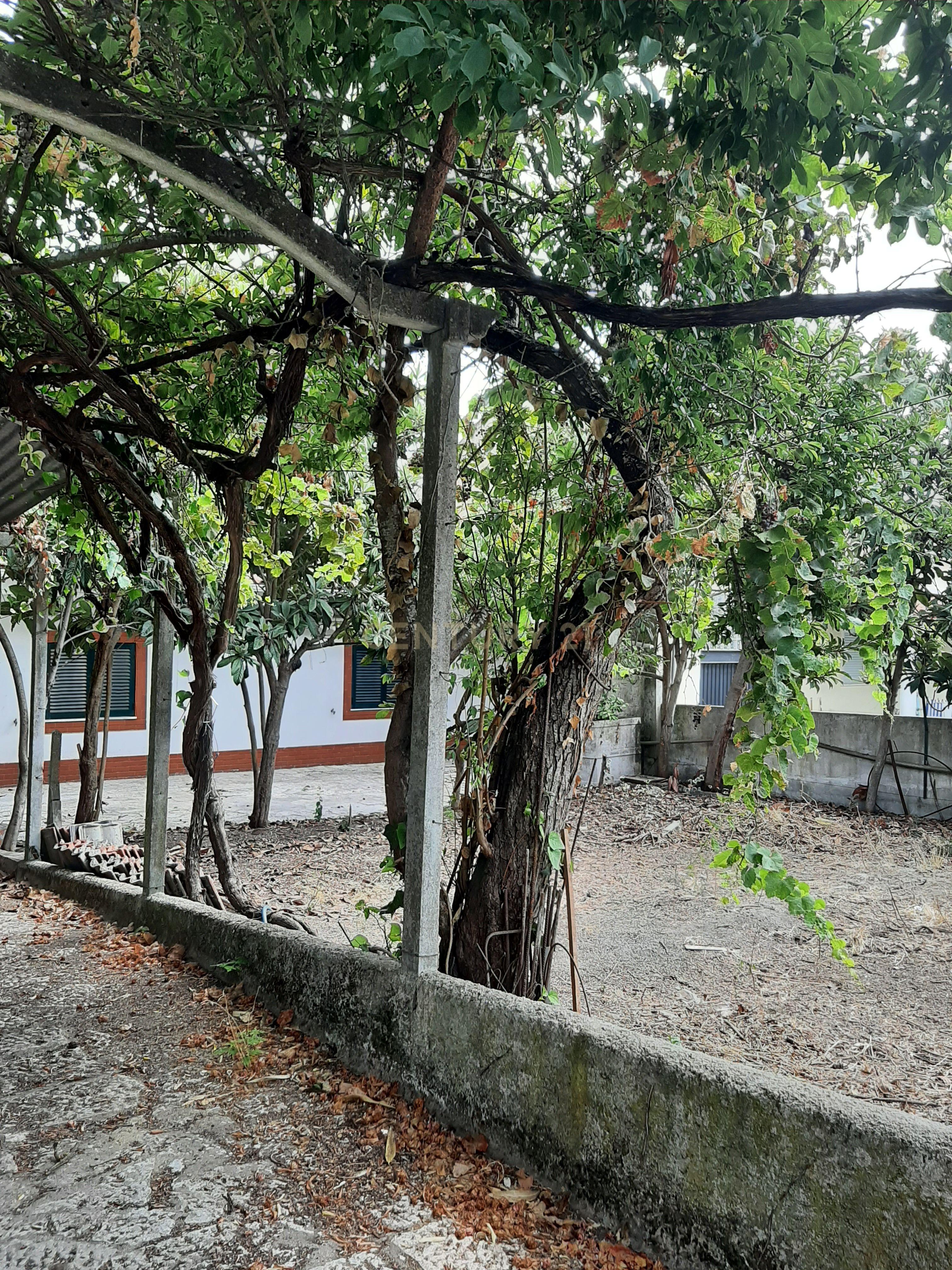 Moradia T1 à venda em Charneca de Caparica e Sobreda, Almada — foto 22