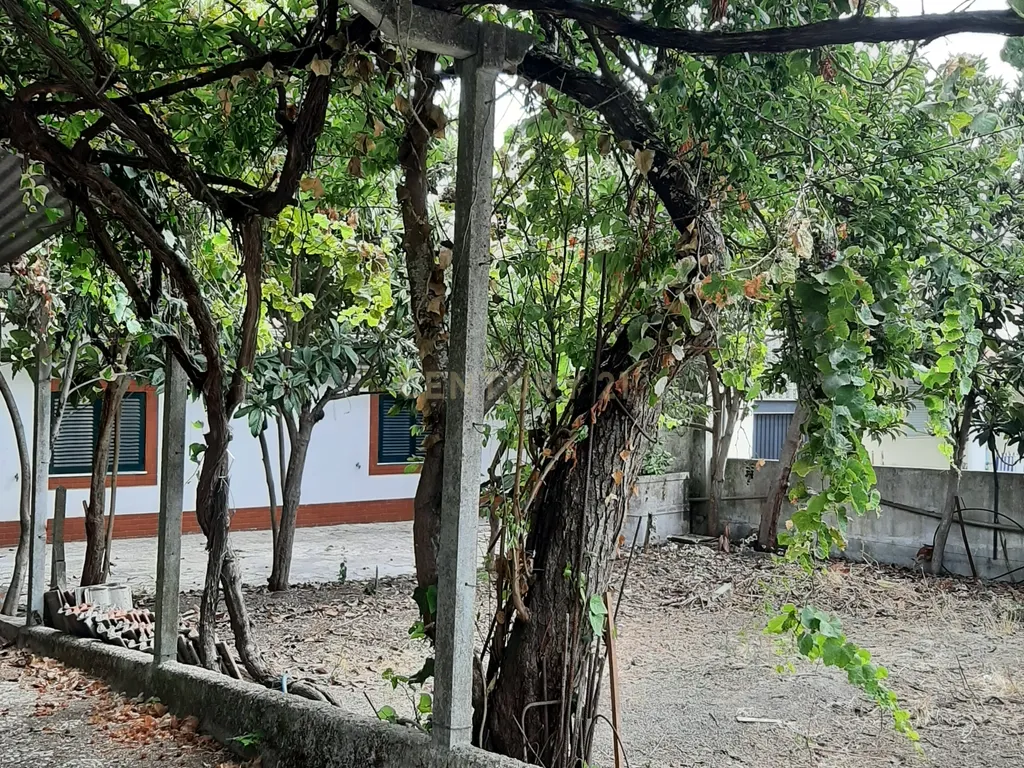**Moradia térrea para remodelar nas Quintinhas – Charneca da Caparica | Terreno com 290 m²** - Image 20