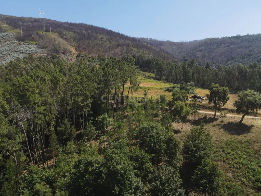 Terreno urbano de 1684m2 para construção com vistas panorâmicas, bom acesso numa localização exceptional e sossegada a 5min. do centro de Lousã - Image 4