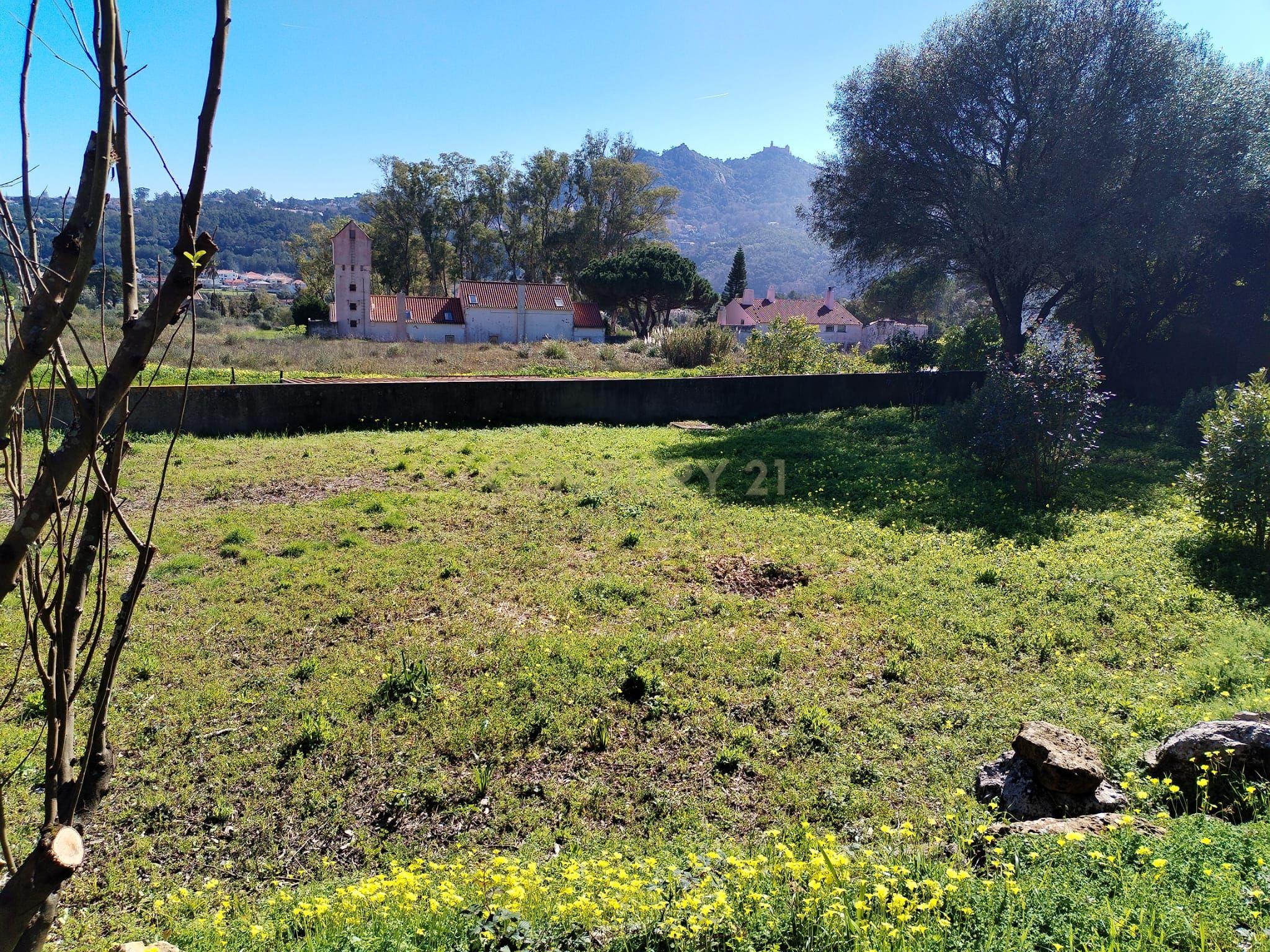 Fotografia 5 de Terreno Urbano com Alvará de Loteamento | Lugar do Carrascal, Sintra
