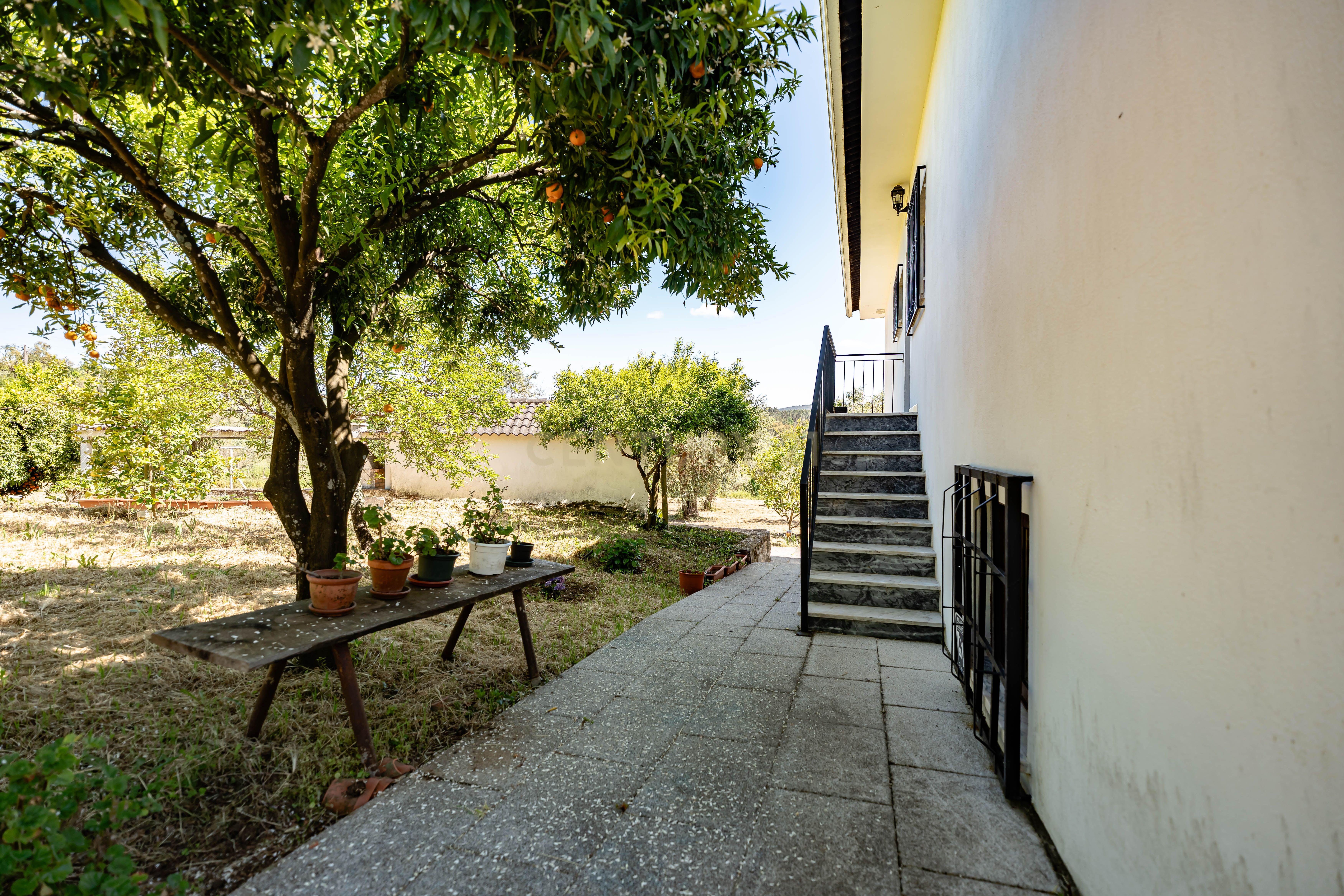Moradia T6+ à venda em Pedrógão Pequeno, Sertã — foto 22