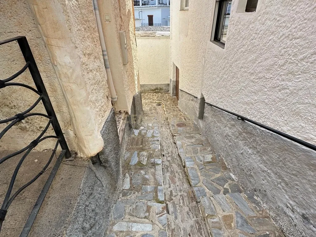 - Image 24
