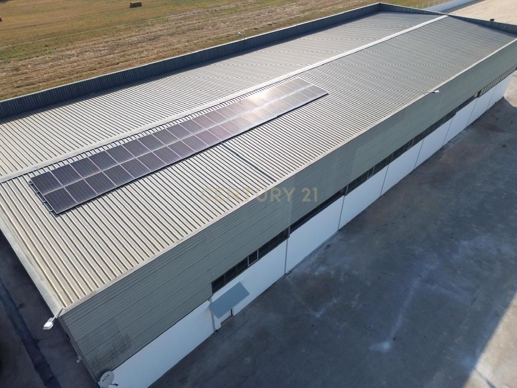 Armazém Industrial para Arrendamento – Riachos, Torres Novas - Image 37