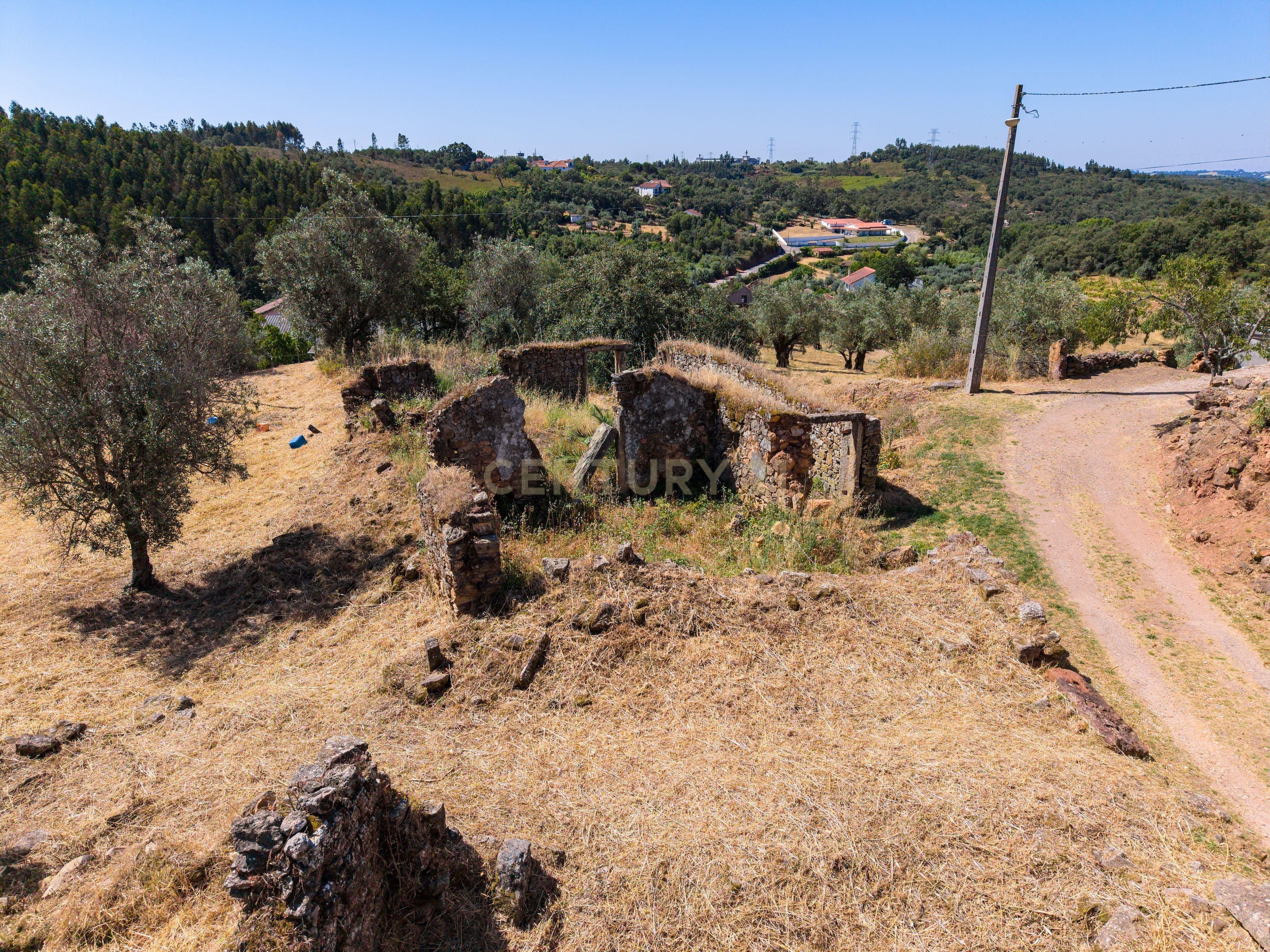 Moradia T1 à venda em Casais e Alviobeira, Tomar — foto 2