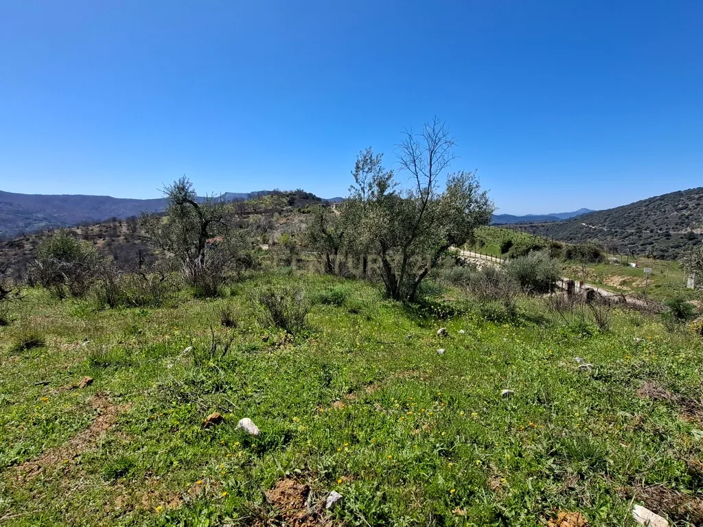 Moradia geminada de gaveto, com orientação sul, vistas para a montanha e duas propriedades rústicas com oliveiras, vinhas e castanheiros, no coração do Alto Genal. - Image 23