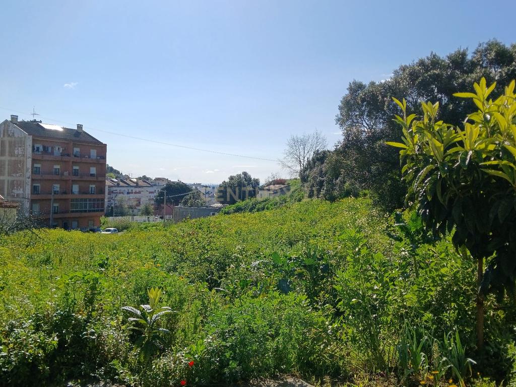 Oportunidade de investimento na Ponte da Bica – Ramada, Armazém com potencial para diversas áreas de negócios - Image 5