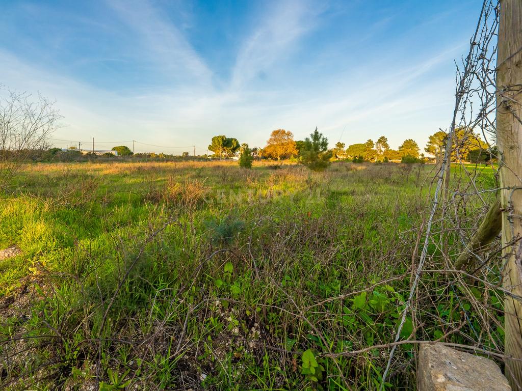 Terreno Rústico de 14.850m² em Vales, Palmela - Image 8