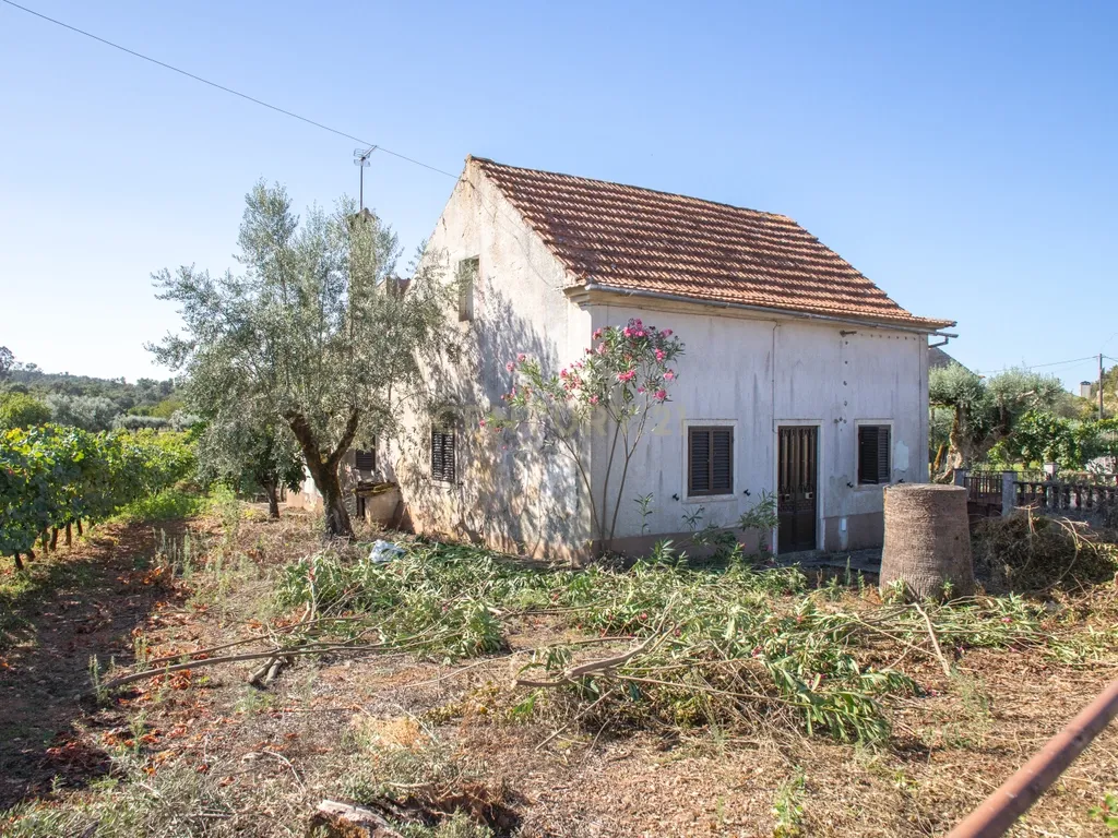 Duas moradias em Avecasta Ferreira do Zêzere - Image 14