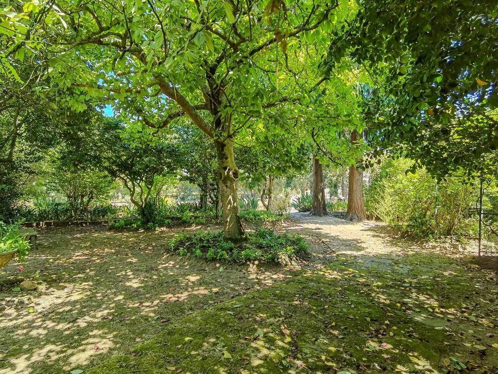 Quinta Santo António — Um refúgio único com piscina privada e potencial ilimitado na Maia - Image 34