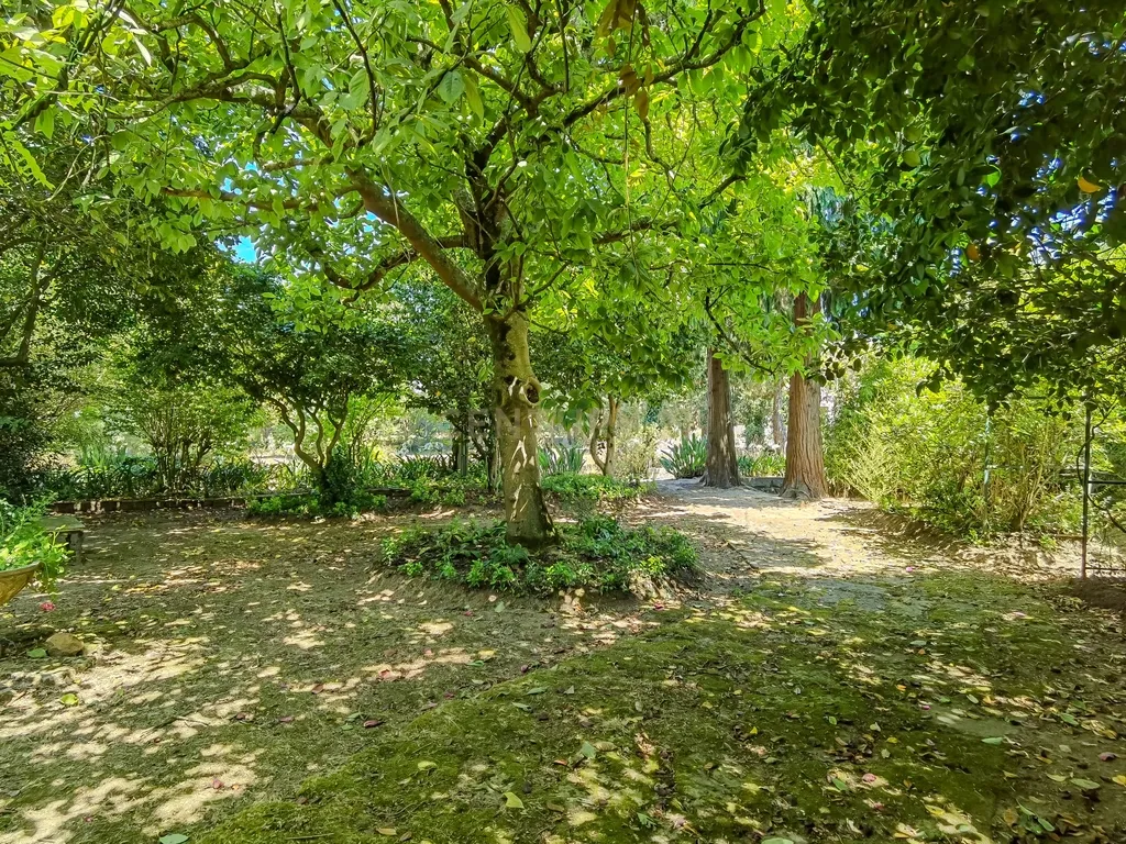 Quinta Santo António — Um refúgio único com piscina privada e potencial ilimitado na Maia - Image 34
