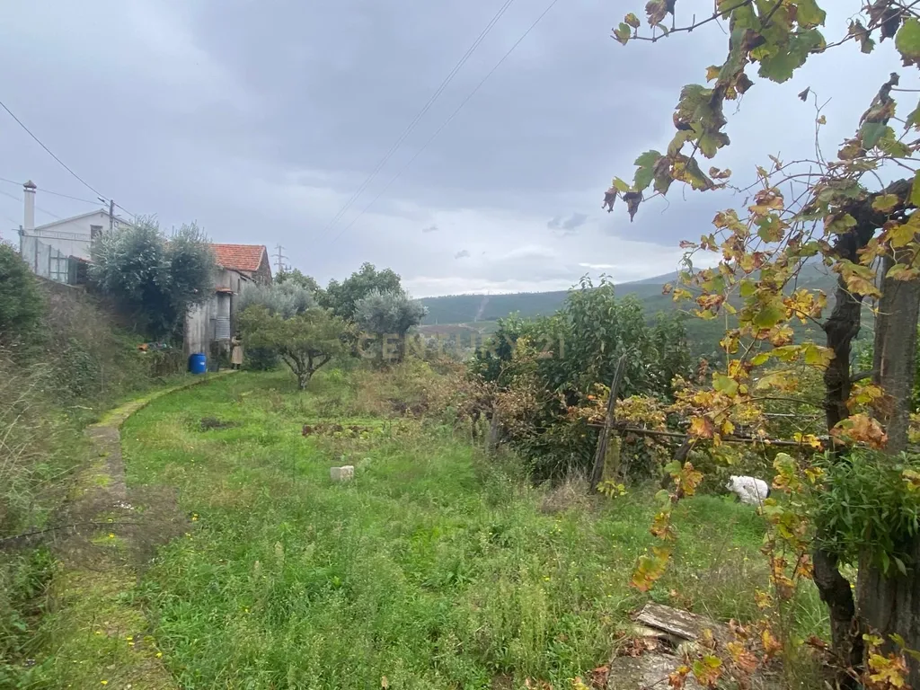 Terreno em Cortes do Meio - Covilhã - Image 6