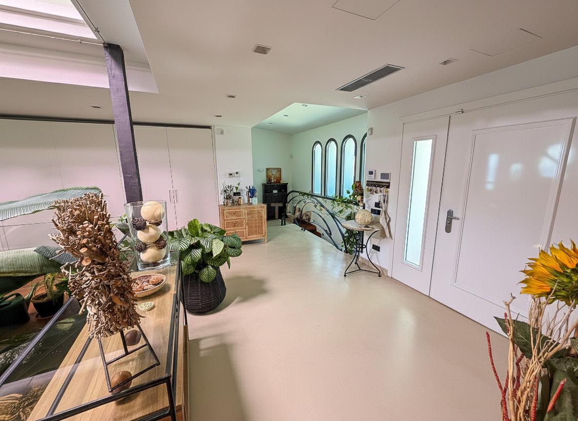 Indoor winter garden at Villa Can Bonita with mature planting under a linear skylight, bridging living room and terrace.