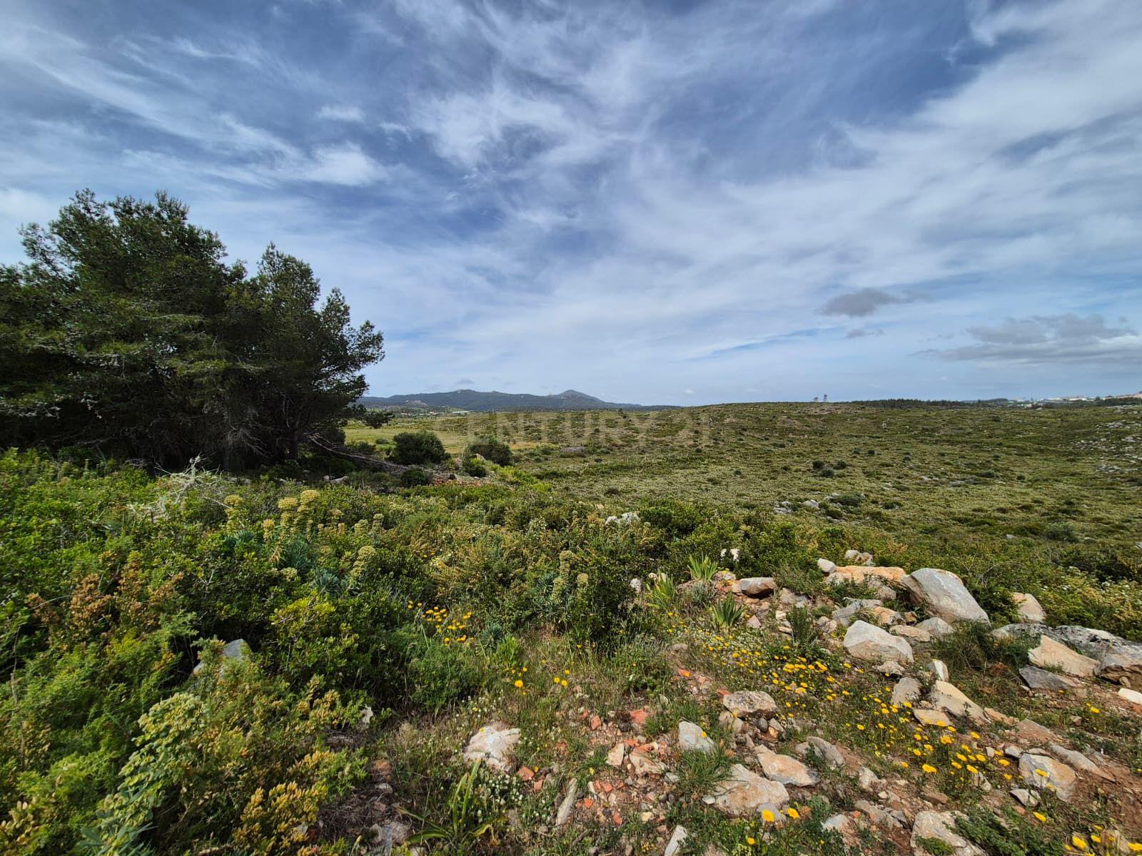 Fotografia 12 de Terreno Rústico com 20.000 m² em Murches, Cascais – Vista Serra de Sintra e Potencial Construção