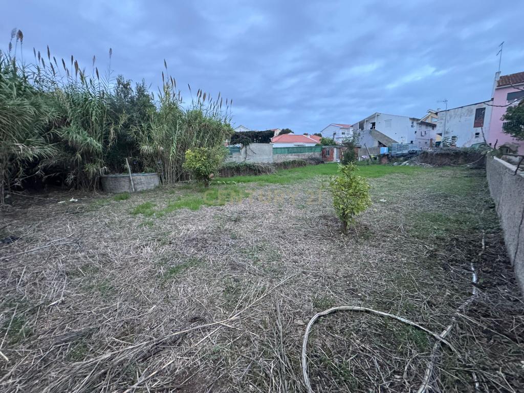3 Moradias com terreno de 1079m2(não inclui a área de implantação das moradias) - Image 21