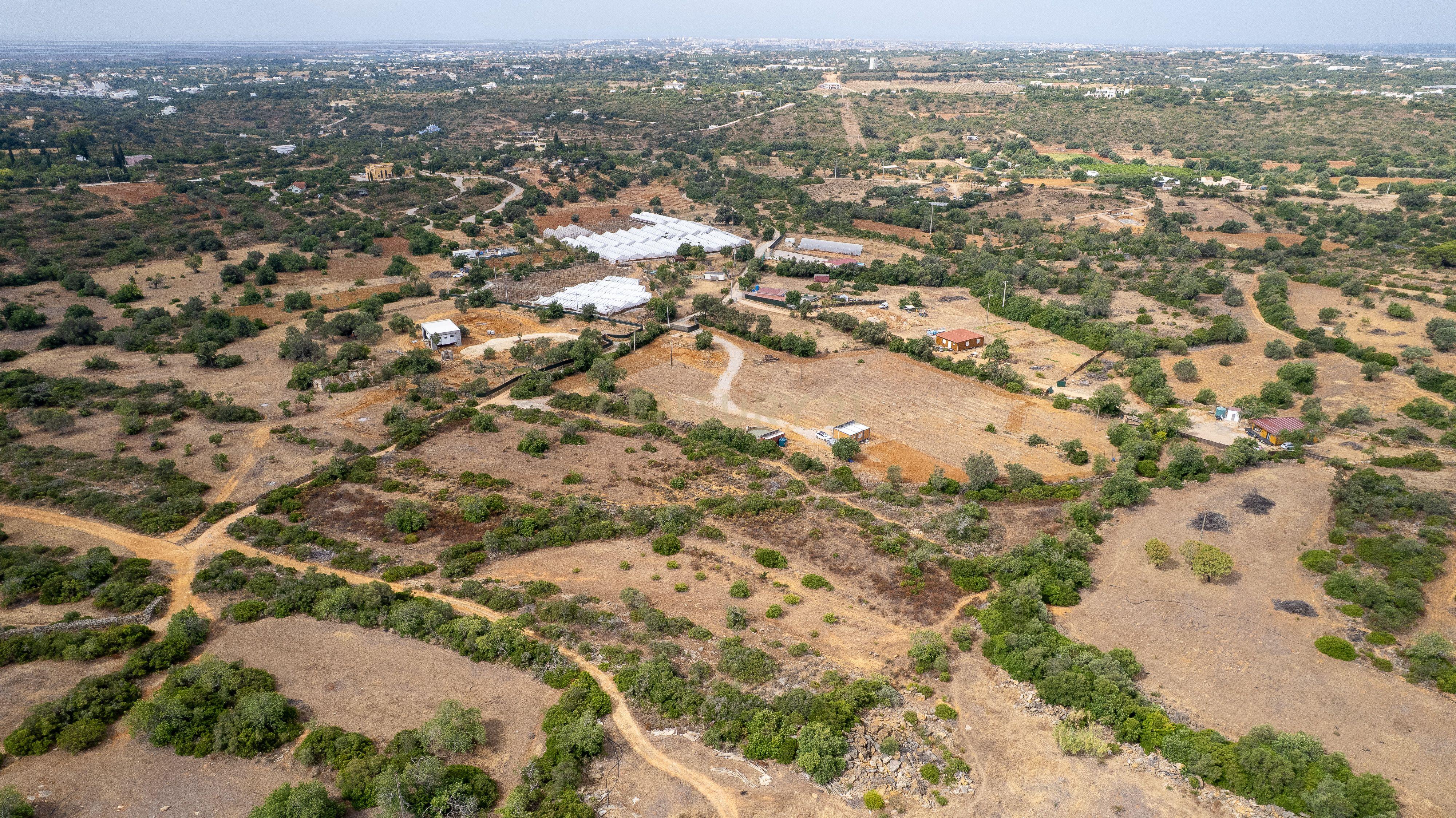 Fotografia 10 de Terreno Rústico de 3.650 m² entre Pechão e Estoi