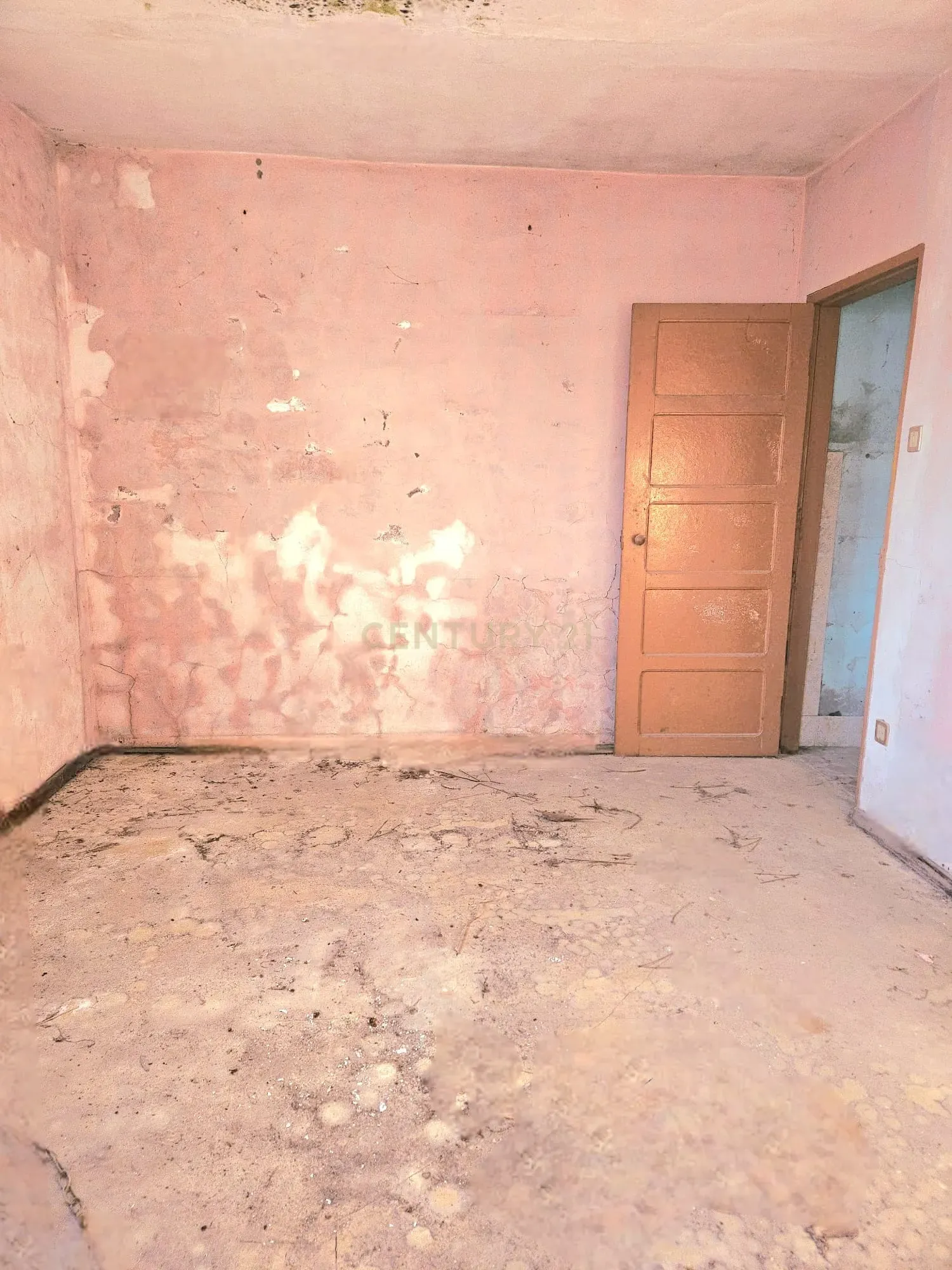 Fotografia 4 de Moradia T2 Térrea para Reconstrução + Terreno de 712 m² em Bustos | Ideal para investidores.