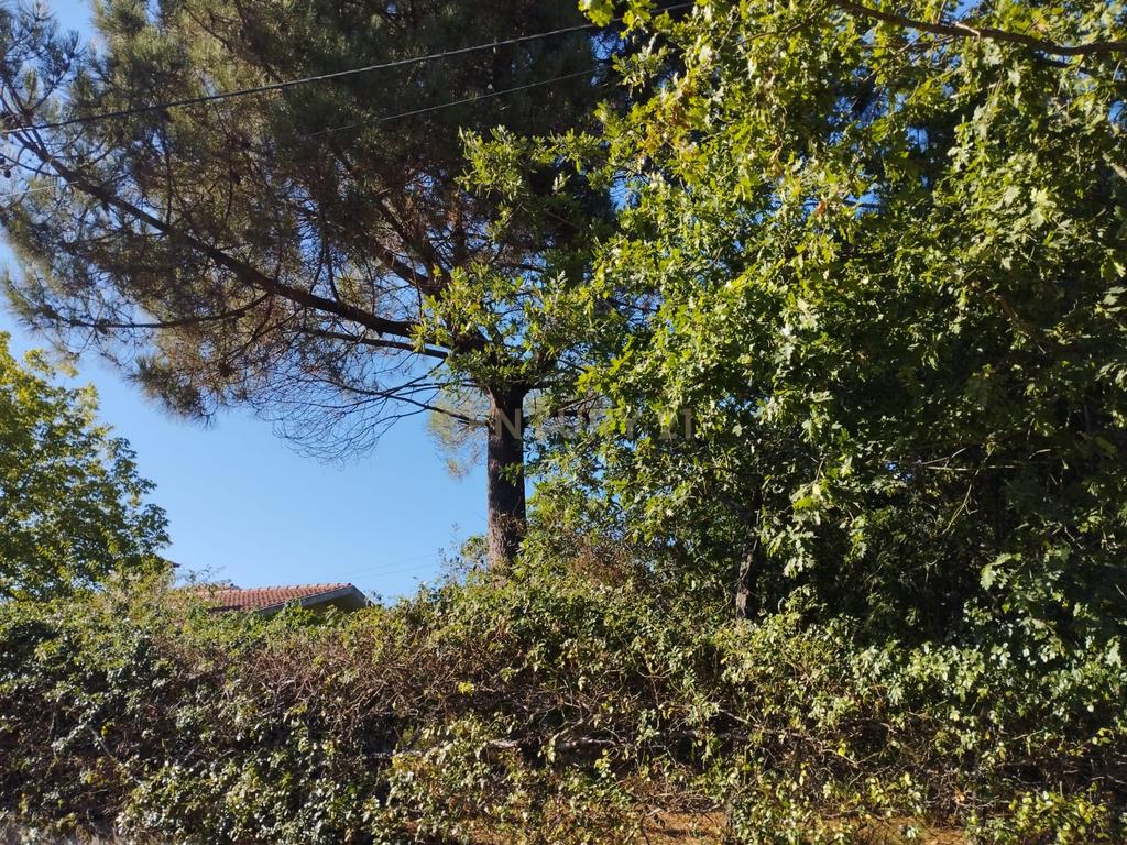 Grande moradia térrea, em Santo Tirso com área de lazer, anexo, jardim e terreno agrícola, Porto - Image 41