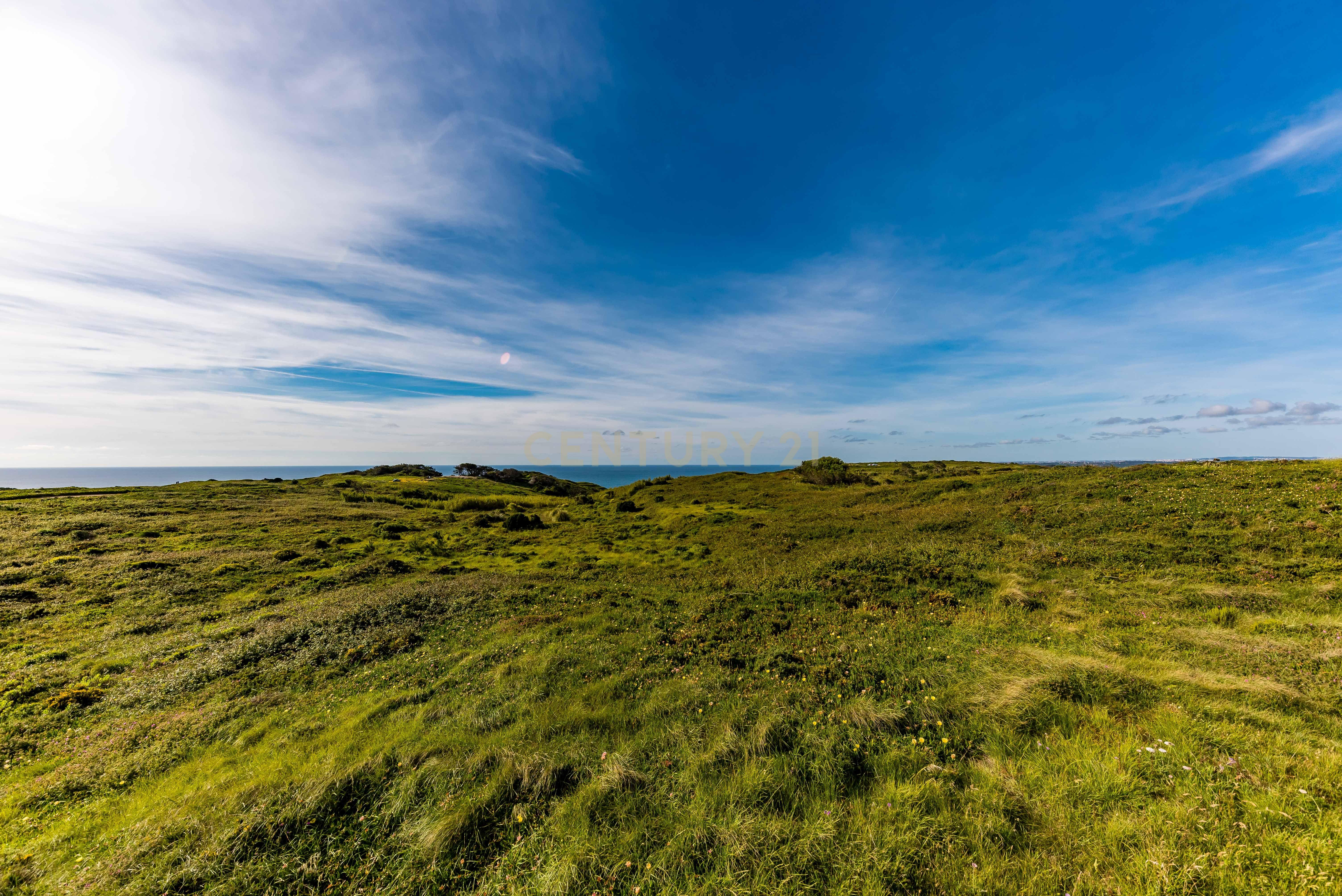 Fotografia 9 de Terreno Rústico para Venda - Cabo da Roca | 14.920 m²
