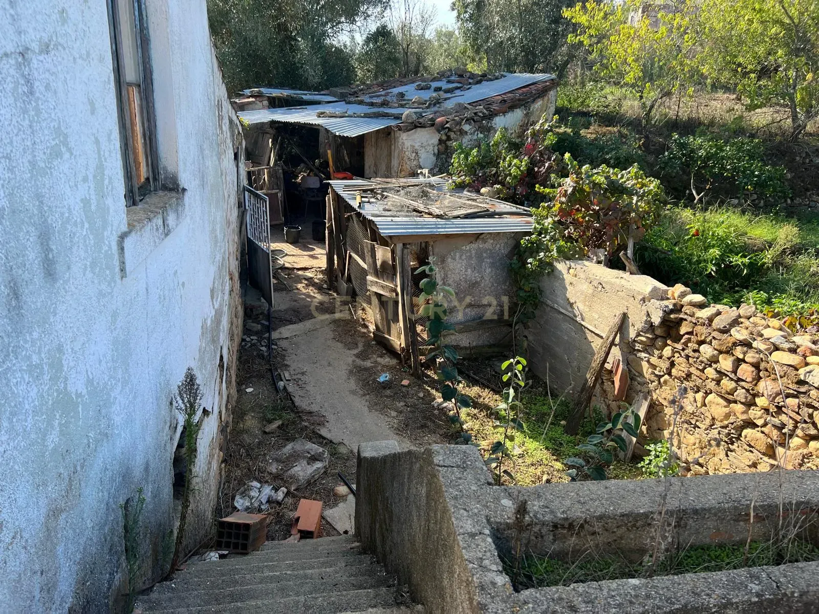 Casa para reconstrução total a 10 min da Praia Fluvial de Aldeia do Mato Abrantes - Image 9