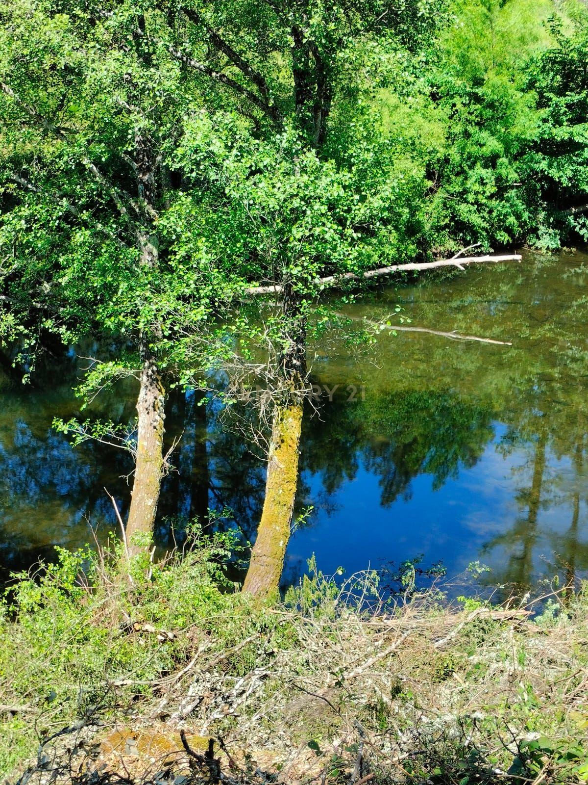 Fotografia 6 de Terreno de 4.500 m² em Meixedo, Bragança — uma oportunidade para um projeto de ecoturismo e turismo de natureza