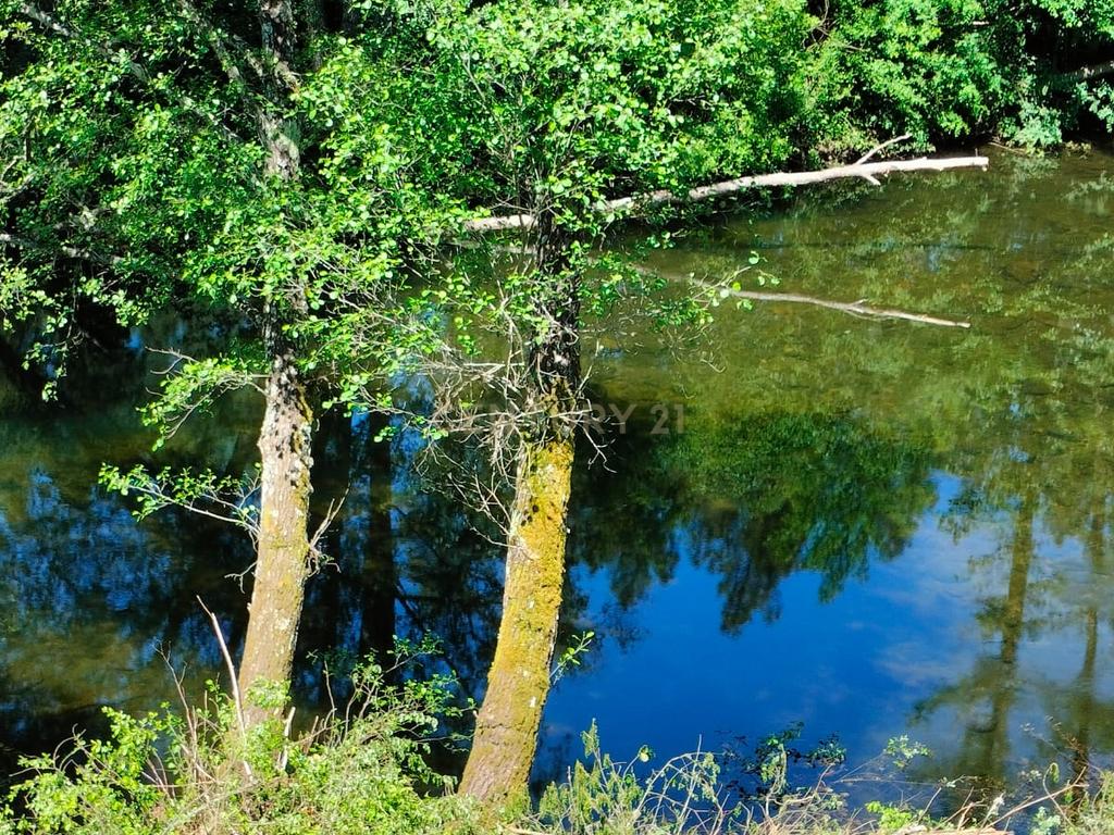 Terreno de 4.500 m² em Meixedo, Bragança — uma oportunidade para um projeto de ecoturismo e turismo de natureza - Image 6
