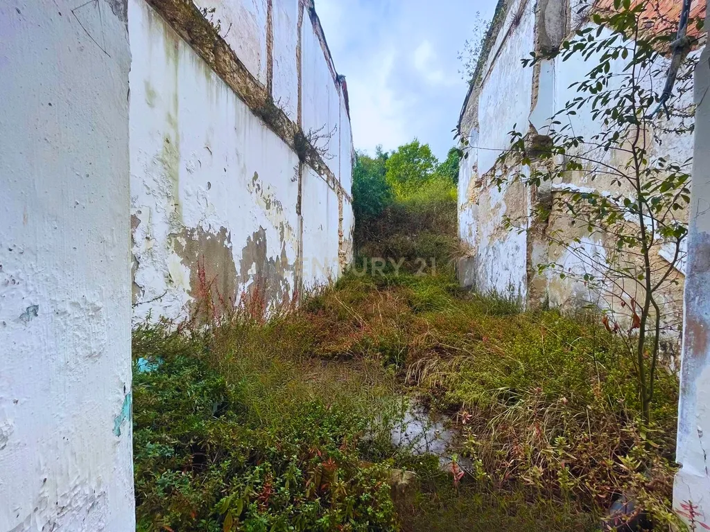 Moradias para reconstrução total no Casal Novo do Rio | Montemor-o-Velho - Image 12