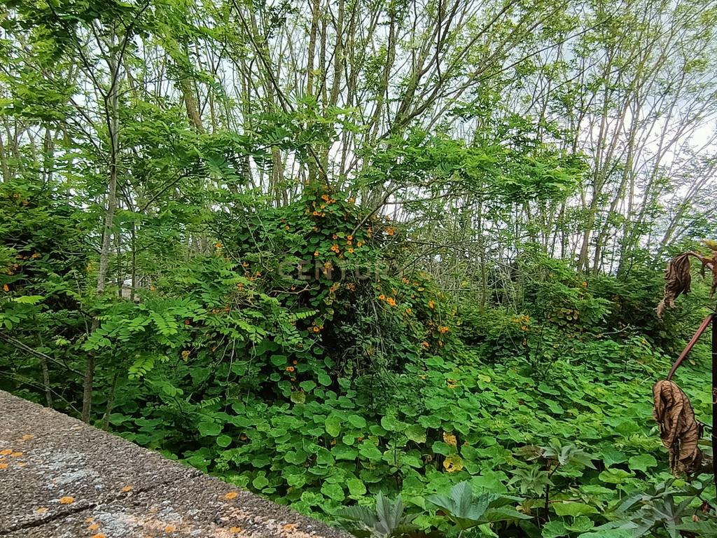 Terreno para construção em Guamasa - Image 9