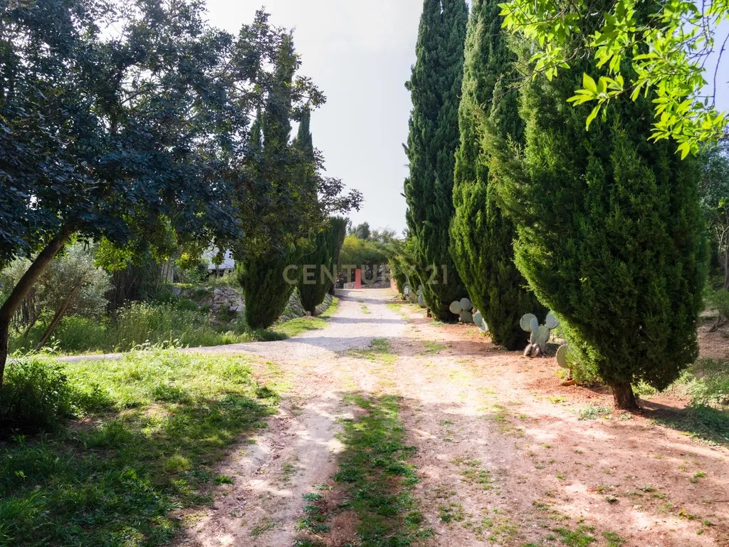 Propriedade com três habitações, piscina aquecida e sauna, num terreno de 10.000 m² - Image 127