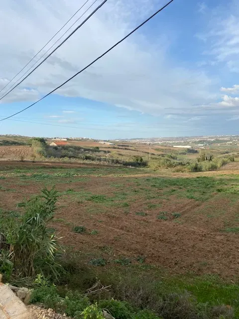Terreno Rústico para Venda com 4.600m² na Atalaia – Lourinhã - Image 2