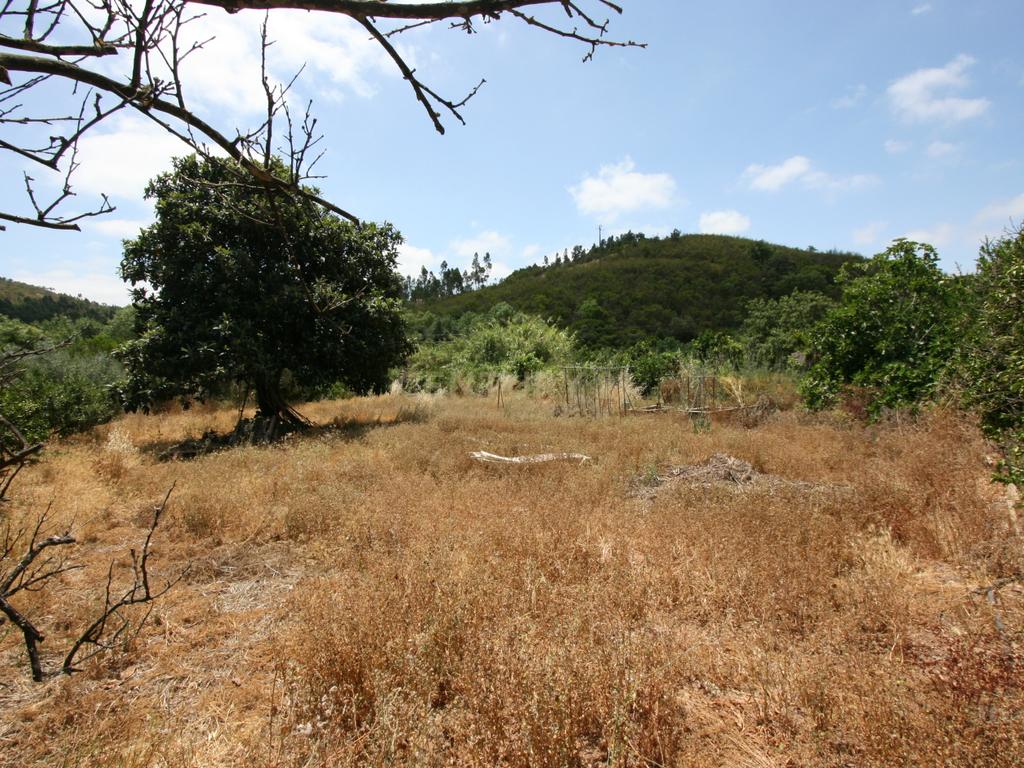 Quinta tradicional com moradia, garagem e vários anexos em terreno de 2020 m2, Zebro de Baixo, Silves - Image 3