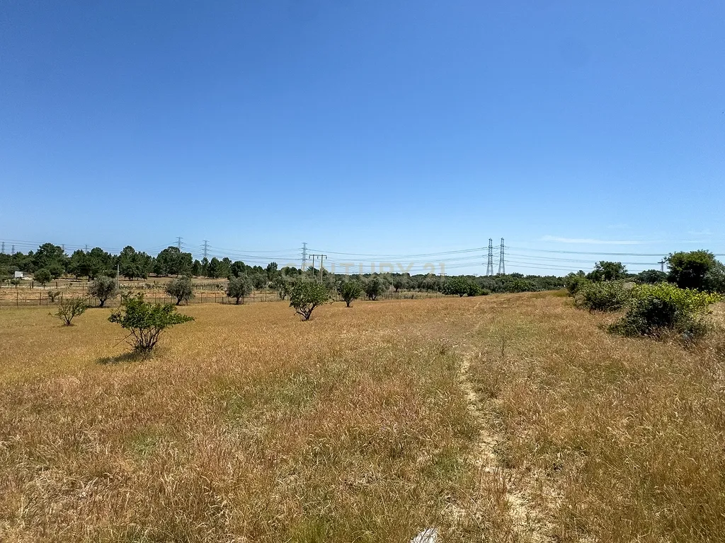 Terreno rústico agrícola, em Pessolhos, Setúbal - Image 31