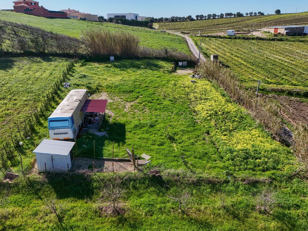 Terreno para Construção - Casal da Serpegeira, Ventosa (Torres Vedras) - Image 12