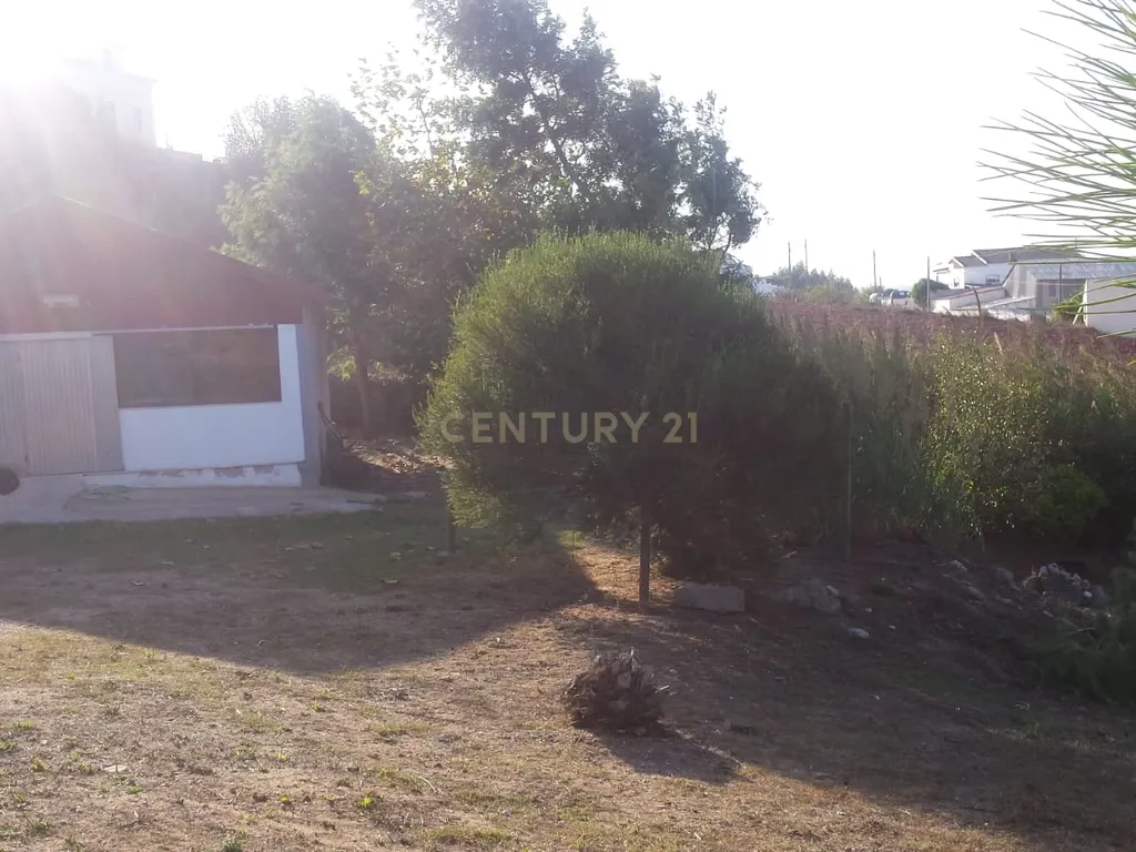 Terreno para construção c/ anexo - Lourinhã - Image 10