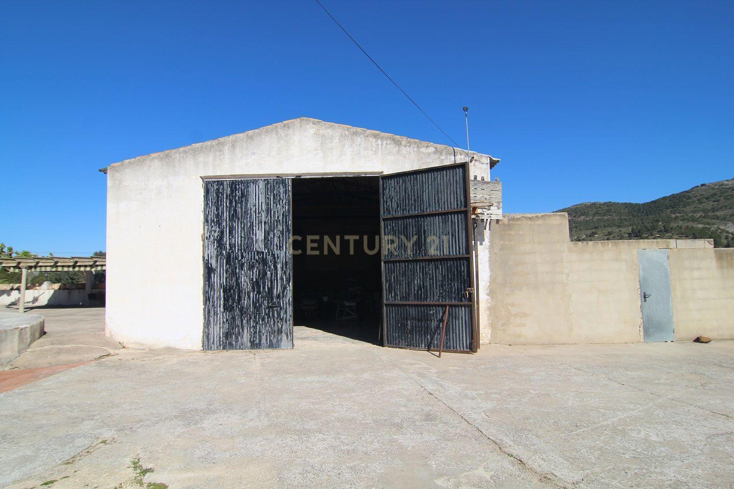 undefined - Image 15