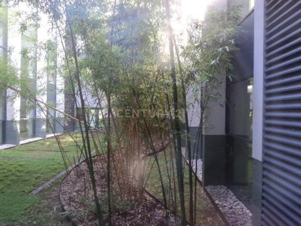 Quinta, Antigo Edifício do ISAVE (universidade) na Póvoa de Lanhoso  - Image 34